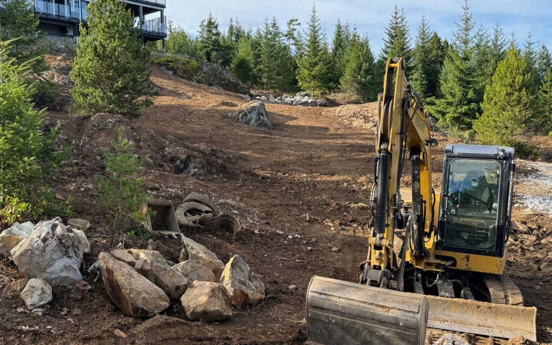 10 Acre Land Clearing and Site Prep