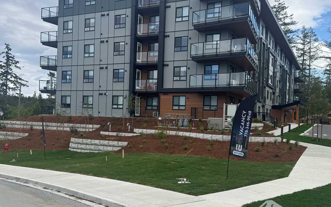 Infrastructure Completion — Walls, Curbs & Final Finishes