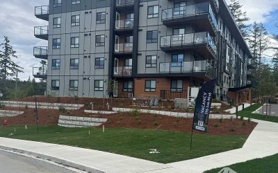 Civil Infrastructure Completion | Walls, Curbs & Final Finishes